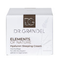 GRANDEL Elements of Nature Hyaluron Sleeping Cream